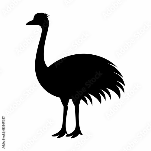 Ostrich isolated on white background with long neck and feathers, showing its beak and large body in a simple vector illustration