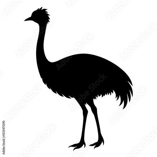 Ostrich isolated on white background with long neck and feathers, showing its beak and large body in a simple vector illustration