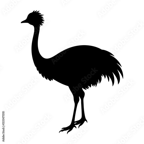 Ostrich isolated on white background with long neck and feathers, showing its beak and large body in a simple vector illustration