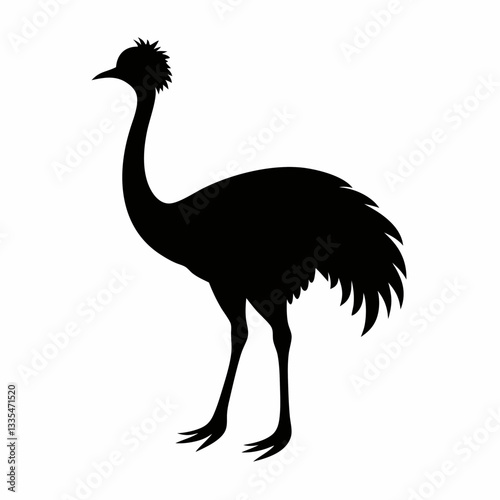 Ostrich isolated on white background with long neck and feathers, showing its beak and large body in a simple vector illustration