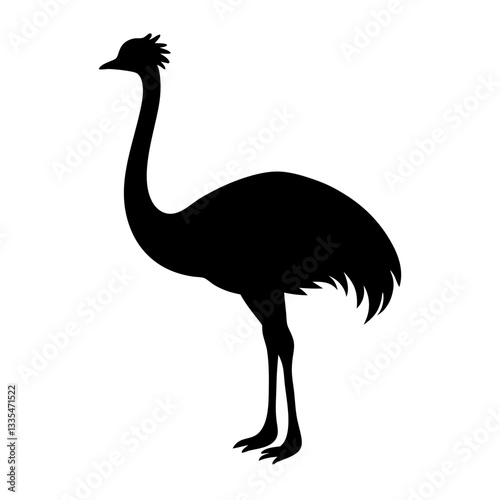 Ostrich isolated on white background with long neck and feathers, showing its beak and large body in a simple vector illustration