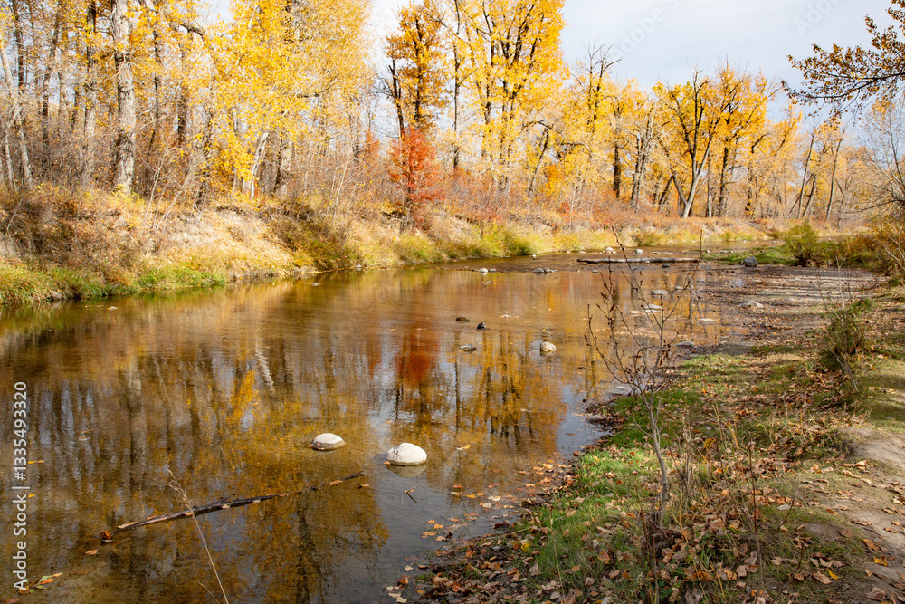 Fototapeta premium Fish Creek Park in Fall Colours