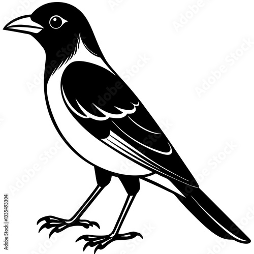 Ravenous Shrike silhouette vector illustration 