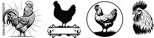 Set of hen, vector illustration.