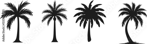 Set summer palms, vector illustration.
