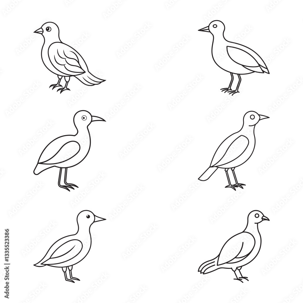 collection of birds collection of birds