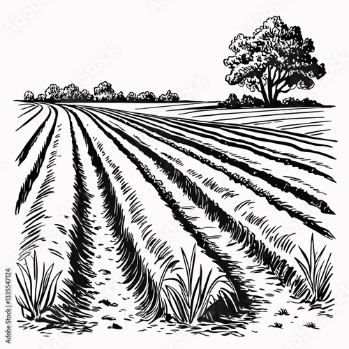 A black and white hand-drawn vector illustration of a plowed field 