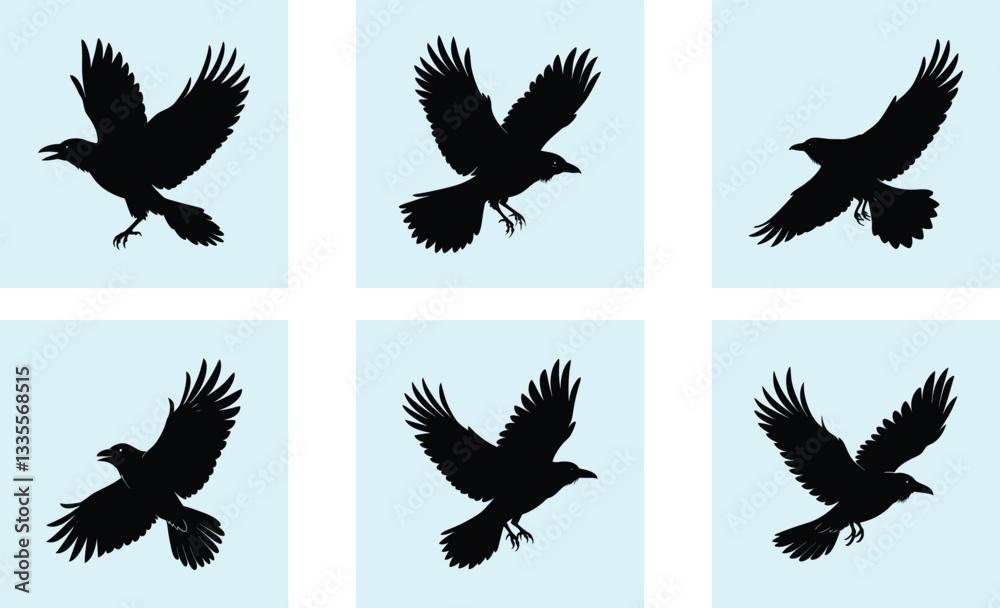 Obraz premium Flying Crow Silhouette vector