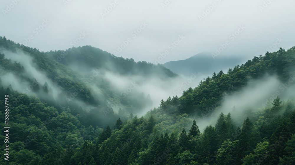 Misty Green Mountains Landscape Misty Green Mountains Landscape