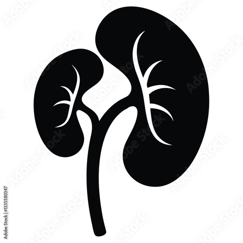 Human Kidney Anatomy Silhouette
