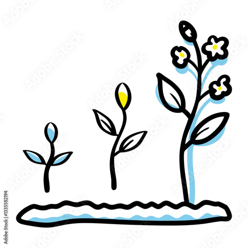 Plant growth stages illustration, botanical development