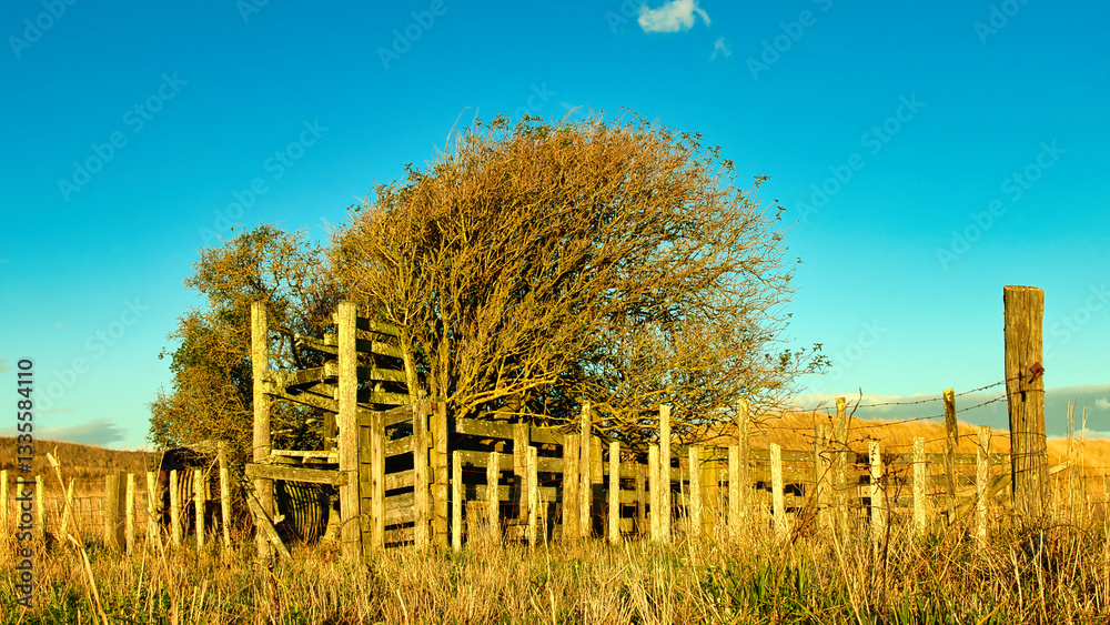 Fototapeta premium Old Stock Loading Ramp
