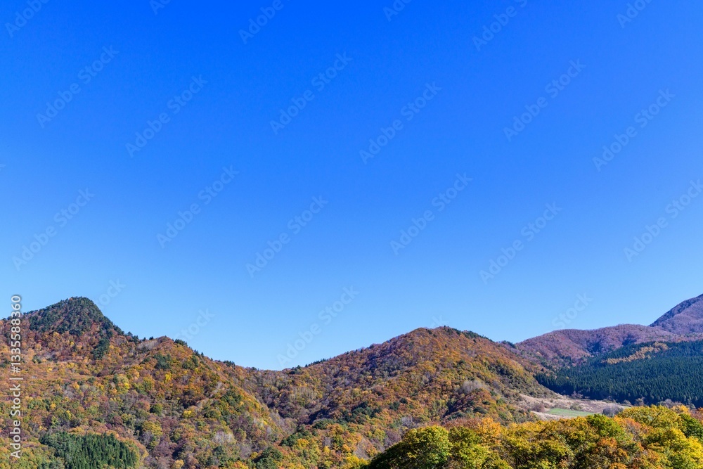 Naklejka premium 秋 山形天童公園にて 