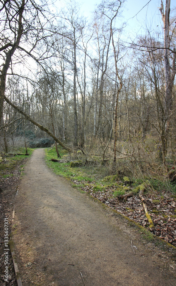 Fototapeta premium Queens Hill, Norwich, United Kingdom, March 15, 2025, Views from Queens Hill Forest