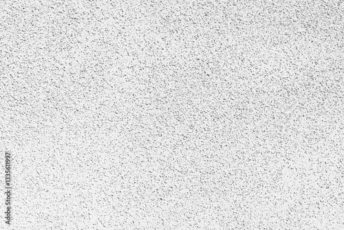 細かな石の粒が表面についている白い壁