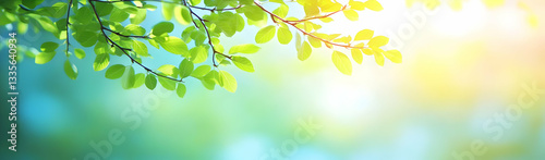 Spring leaves, sunlit nature, green background, website banner