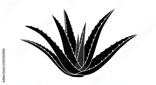 Aloe vera graphic art in black and white, isolated illustration, modern style