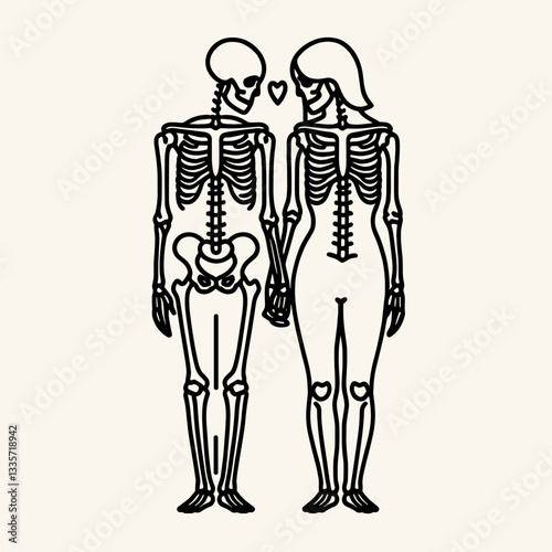Skeleton lesbian couple close holding hands minimalist vector graphic depicts a tender embrace.
