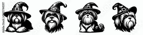 Shih Tzu Dog wear witch hat in halloween 0803 5350 vector illustration a fluffy pup in a spooky costume for a fun autumn graphic