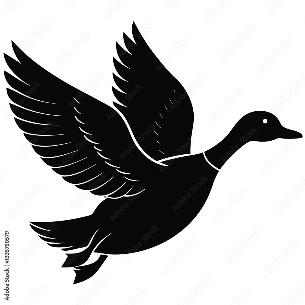 Obraz premium silhouette of a duck