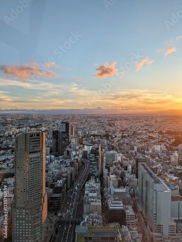 The view and landscape of Japan