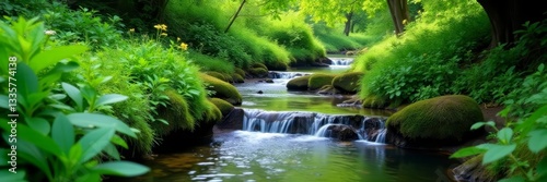 Lush green foliage surrounding a crystal clear natural spring stream, beauty, scenic, outdoors