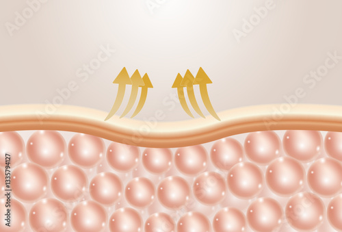 Serum restores skin to its original state