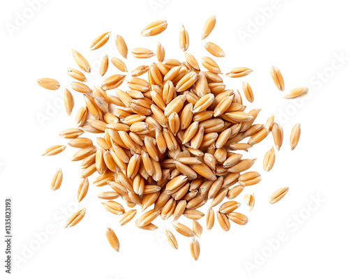 Scattered Pile of Golden-Brown Wheat Grains On Isolated White Background