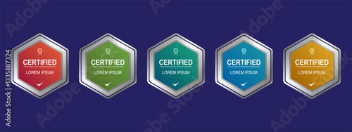 Certificate badge hexagon template vector illustration