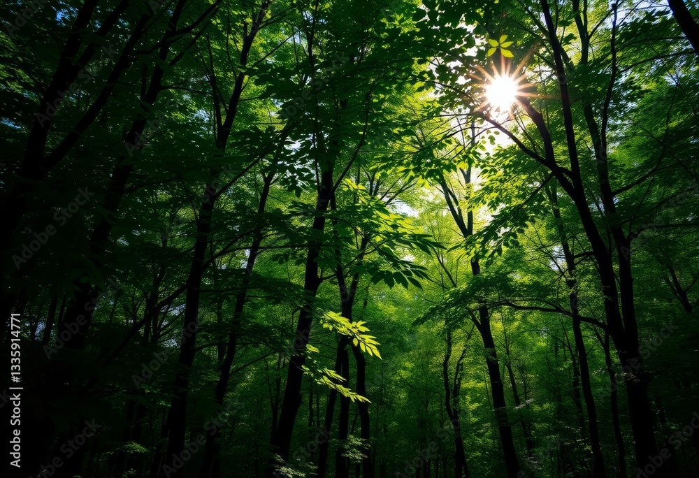 Obraz premium Deep green forest wallpaper with dappled sunlight filtering through leaves, nature, texture