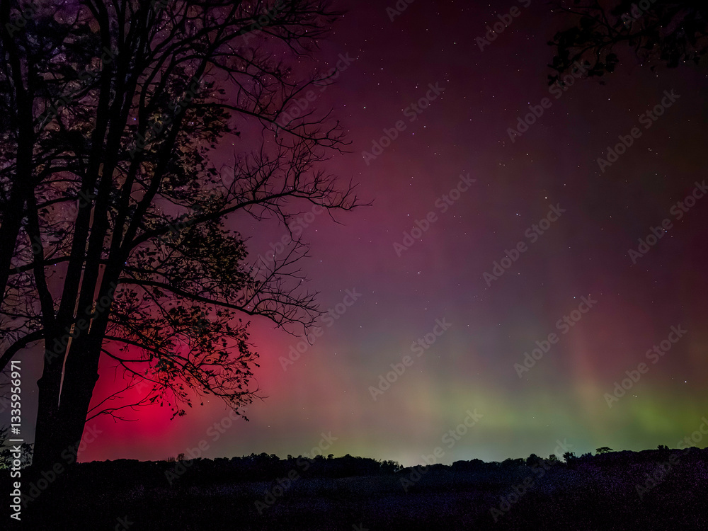 aurora borealis aurora borealis