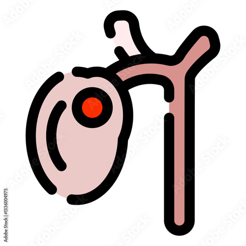 gall bladder icon