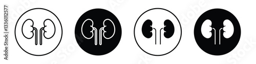 Kidneys vectors icons graphics pack