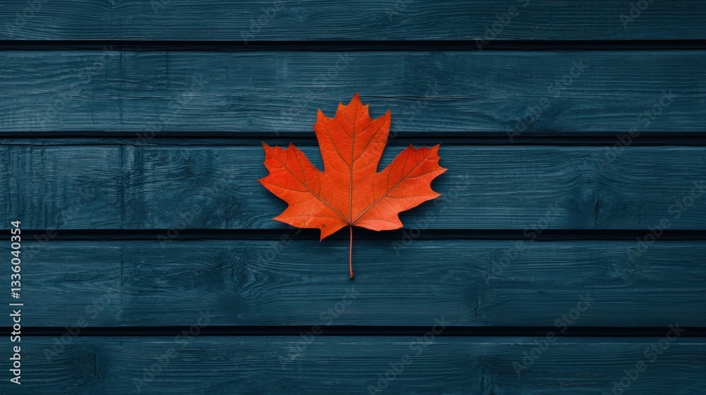 A red maple leaf on a blue wooden background. A red maple leaf on a blue wooden background.