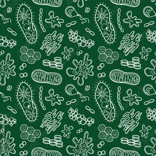 Biology outline pattern with microbe, cells. Science chalk vector illustration. Cells hand drawn on blackboard. Back to school Wallpaper
