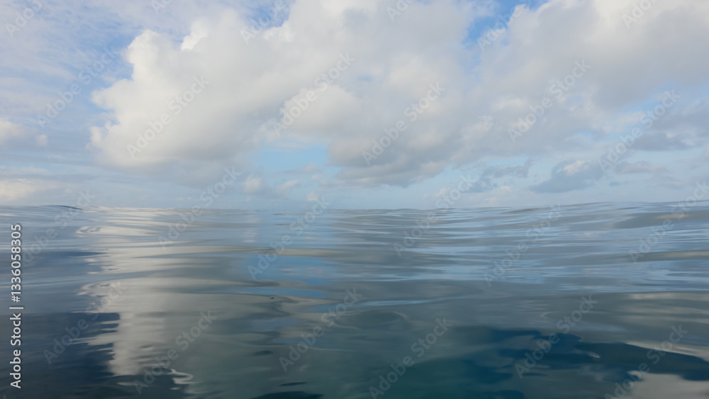 Obraz premium POV shot of swimming in empty ocean