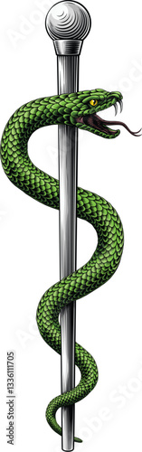 Rod of Asclepius staff medical symbol. Intertwined snake around a rod or wooden staff. Often mistakenly called a Caduceus. Doctor icon for medicine and health care. Vintage woodcut etching style.