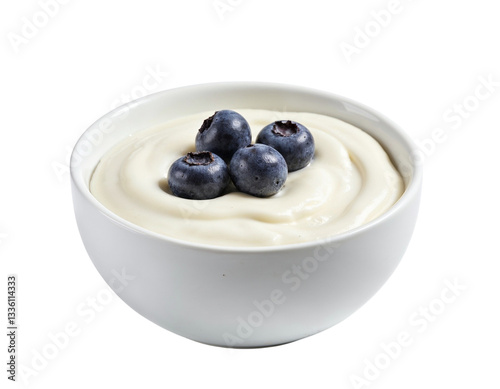 yogurt with blueberries