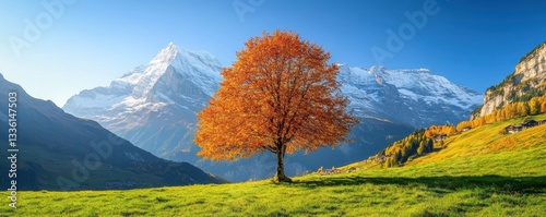 Solitary autumn tree against majestic snow-capped mountain backdrop.