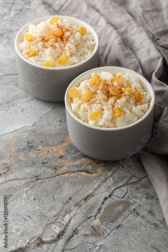 Creamy Rice Pudding with milk and sugar, then finish with cinnamon, vanilla and raisins closeup on the bowl on the table. Vertical
