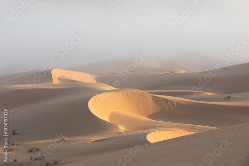 Sand dunes of Liwa desert in fog during sunrise hours.