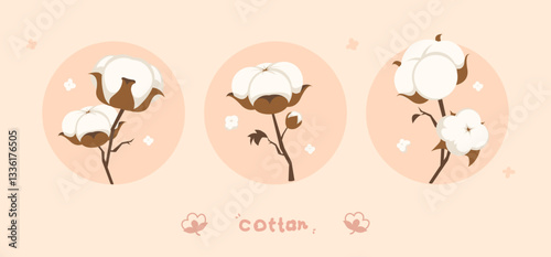 Minimalist Cotton Plant Illustration with Three Elegant Designs on a Soft Beige Background