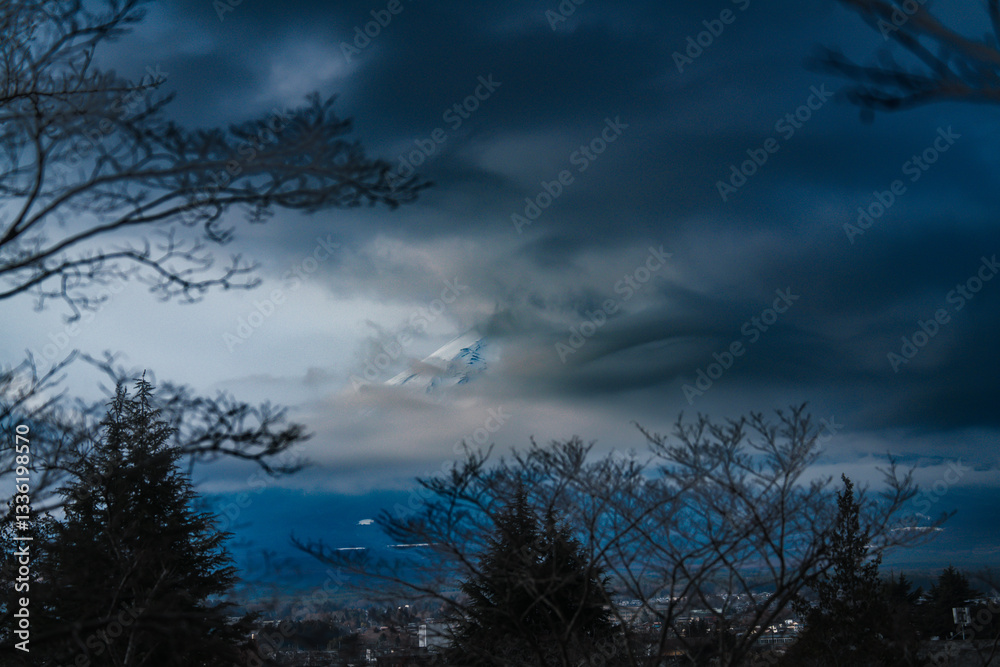 Obraz premium 新倉山浅間公園の五重の塔