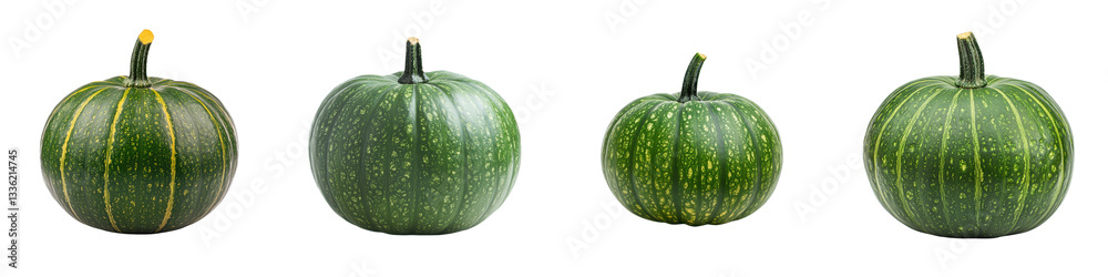 A group of fresh organic green pumpkins and gourds with ribbed textures and striped patterns arranged against a natural background representing the autumn harvest season A group of fresh organic green pumpkins and gourds with ribbed textures and striped patterns arranged against a natural background representing the autumn harvest season