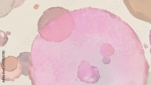 abstract circles on a pink surface