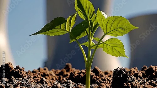 green leaves on the ground