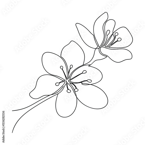 Elegant SingleLine Cherry Blossom Flower Art Minimalist Drawing