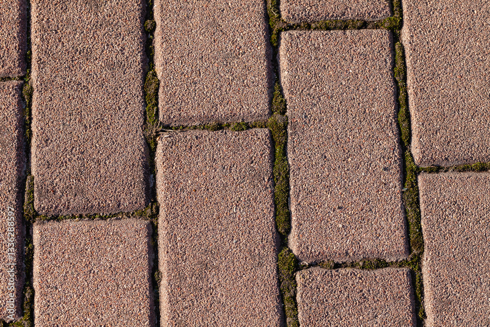 Abstract brick pattern with moss