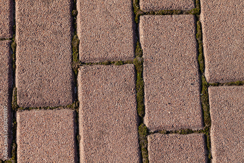 Obraz na płótnie Abstract brick pattern with moss w salonie