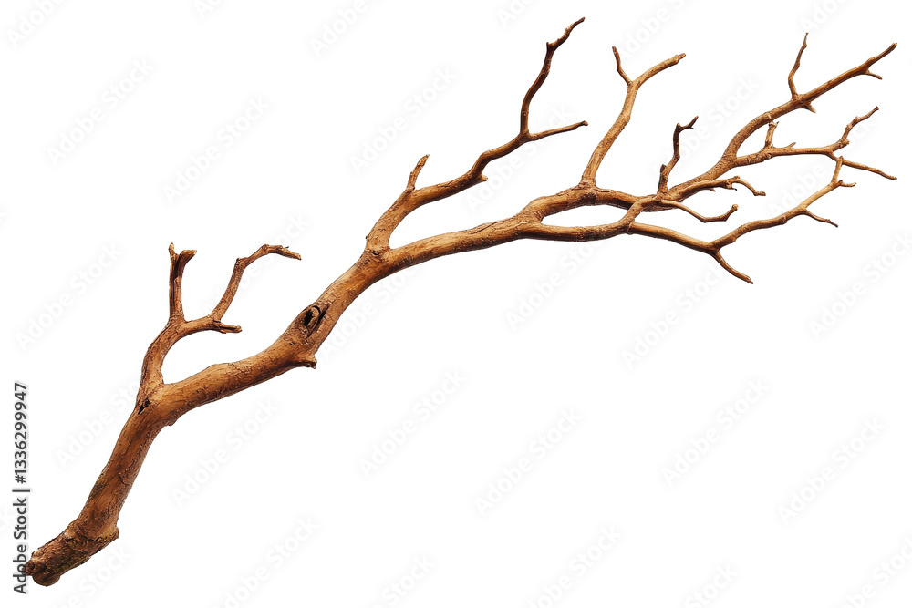 [Transparent Background PNG]Dried Branch Decor for Home Decor